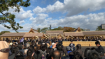 皇居乾通り2019の混雑状況と待ち時間！最新情報まとめ！